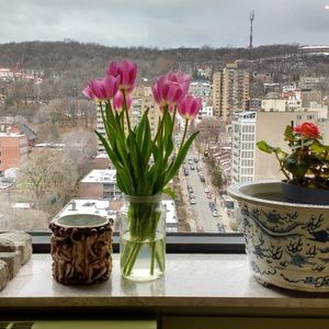 Meet your Posher, Annie